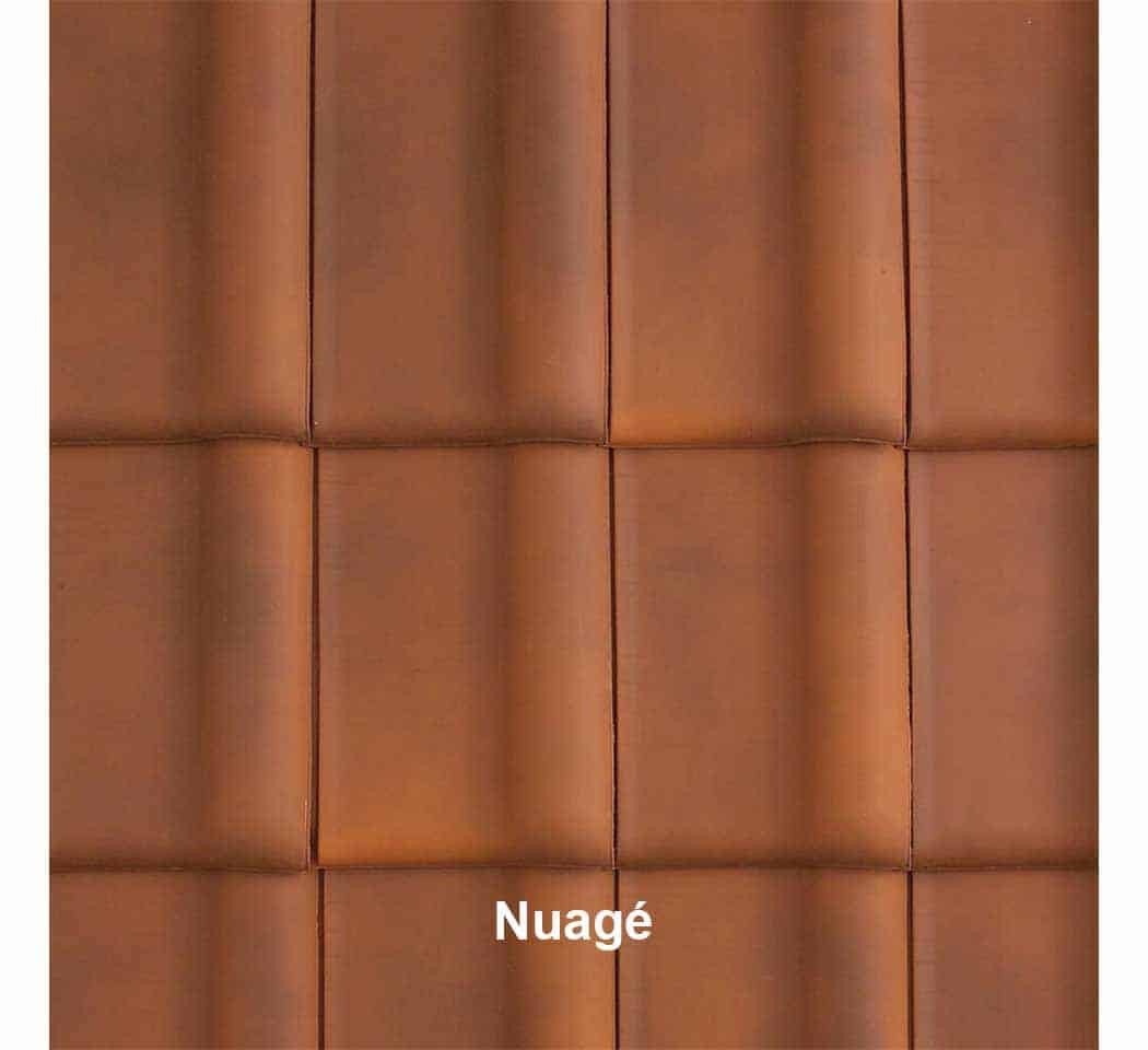 Tuile ALEGRA couleur nuagé