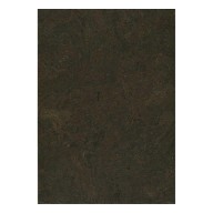 Parquet flottant liège 10.5 mm x 38 cm x 61 cm, Esus