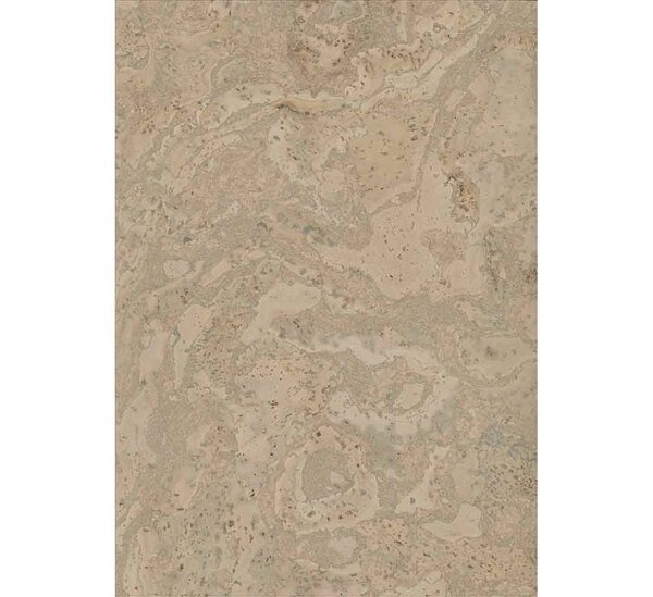 Parquet flottant liège 10.5 mm x 38 cm x 61 cm, Taranis