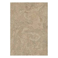 Parquet flottant liège 10.5 mm x 38 cm x 61 cm, Taranis