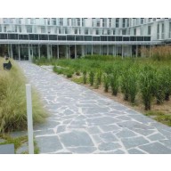 Dalles d'ardoise opus incertum, 2 cm d'épaisseur, 3 à 5 pièces/m²