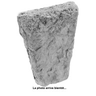 Clé (frontale) PIAMONTE cendré