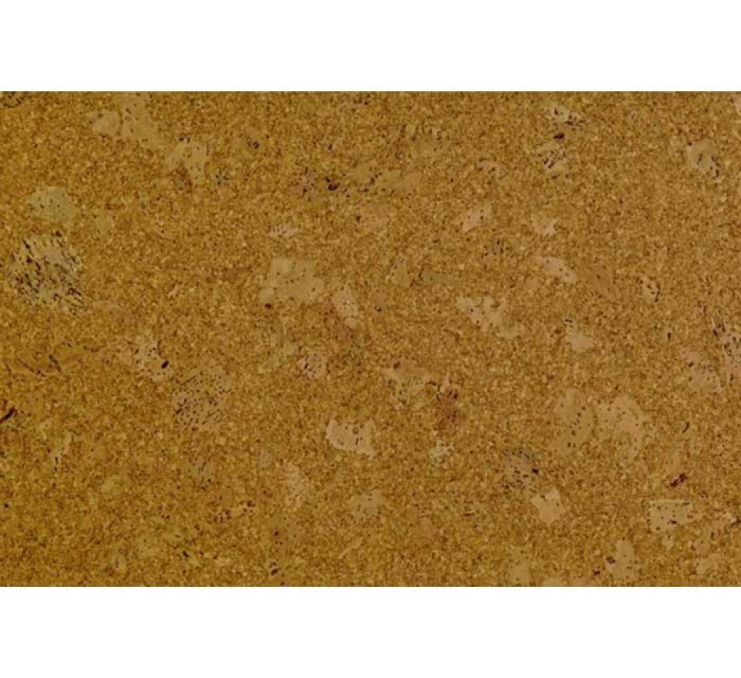 Parquet flottant liège 10 mm x 30 cm x 90 cm, Marée