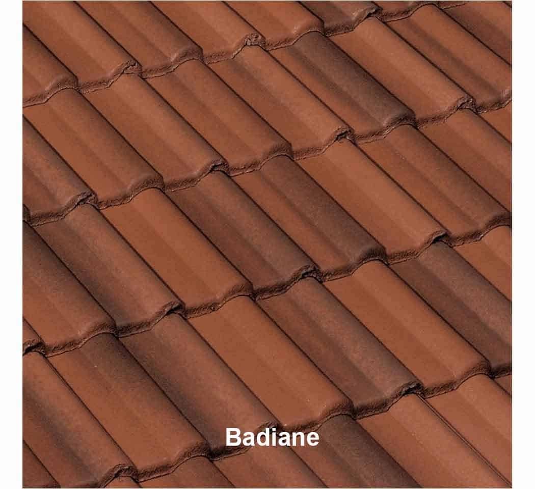 Tuile béton DOUBLE ROMANE couleur badiane
