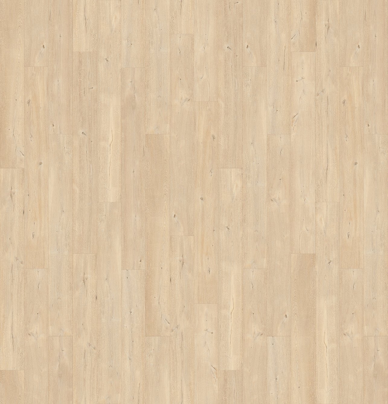 Lame XL 200 x 24 cm x 4,5 mm - Parmesan