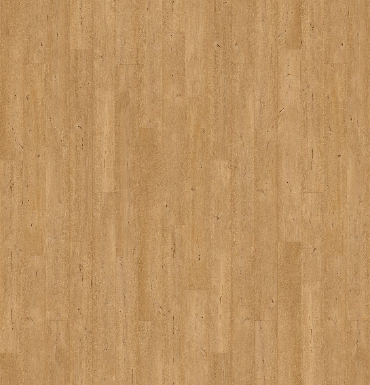 Lame XL 200 x 24 cm x 4,5 mm - Frangipane