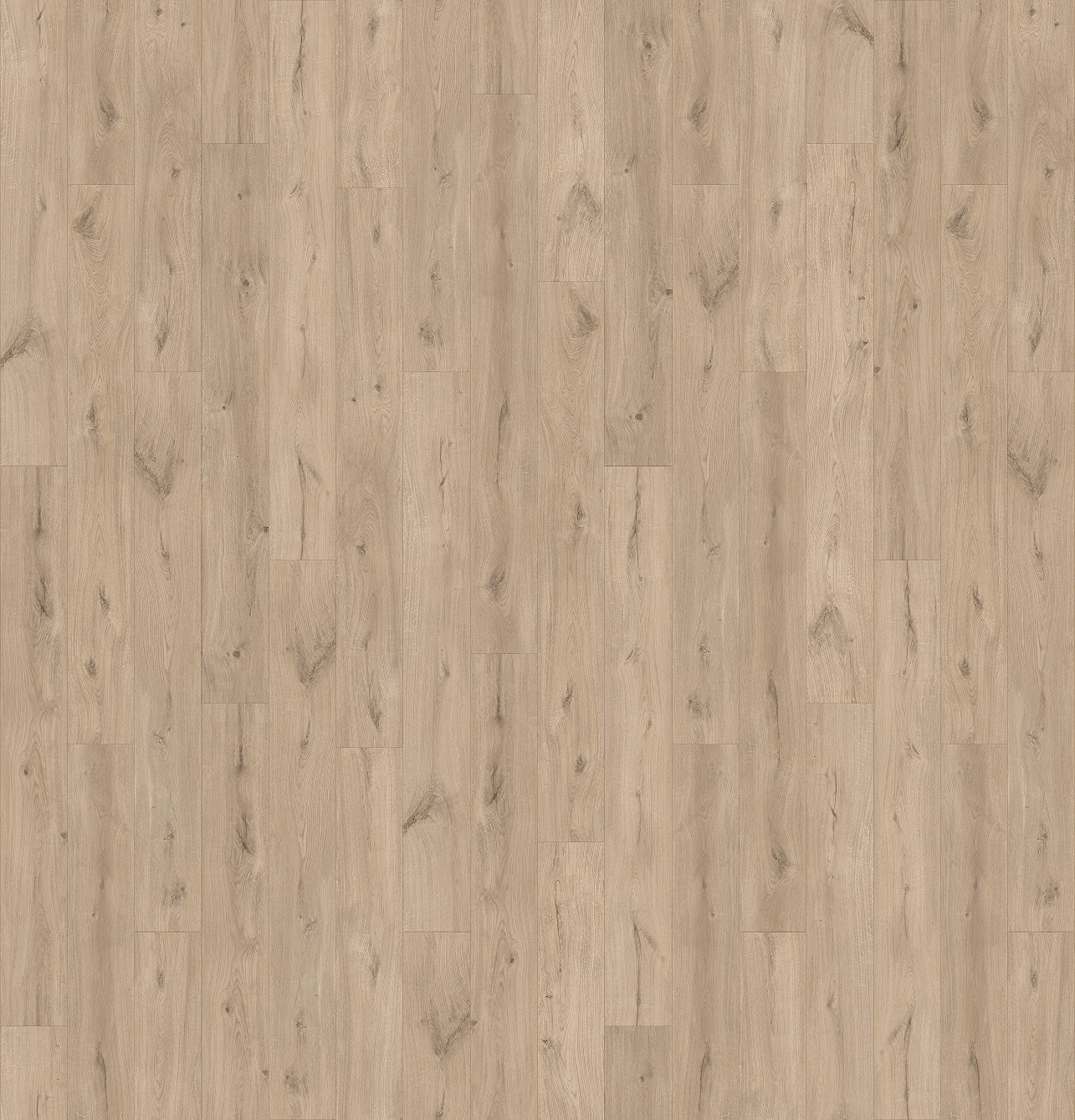 Lame XL 200 x 24 cm x 4,5 mm - Clooney