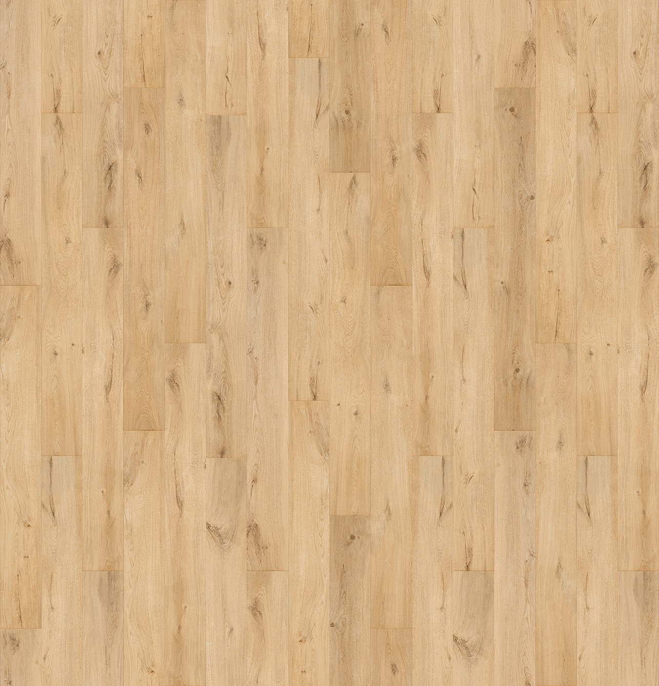 Lame XL 200 x 24 cm x 4,5 mm - Sabayon