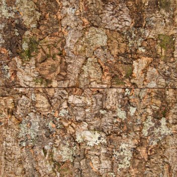 Vignette Parement mural liège 60 cm x 30 cm x 20-35 mm, Origine