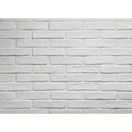 Parement brique OXFORD blanc 2.5 x 5.5 x 24 cm