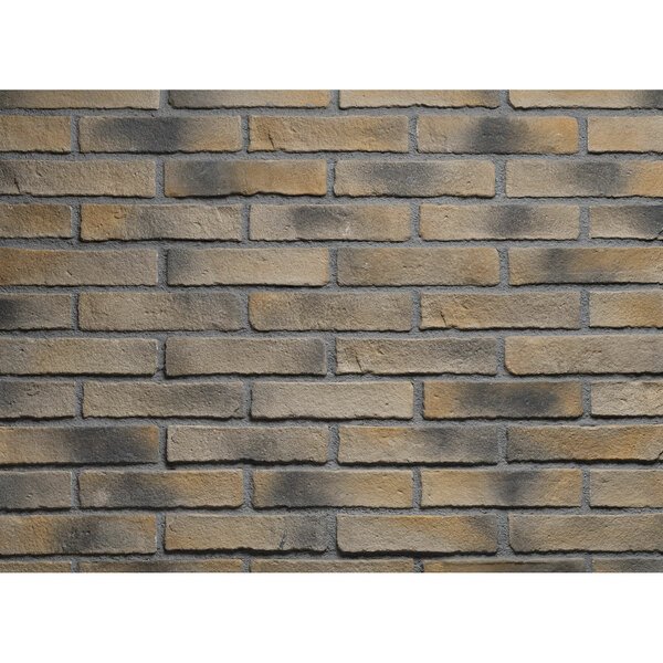 Parement brique OXFORD bristol 2.5 x 5.5 x 24 cm