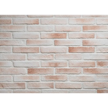 Vignette Parement brique OXFORD neige 2.5 x 5.5 x 24 cm