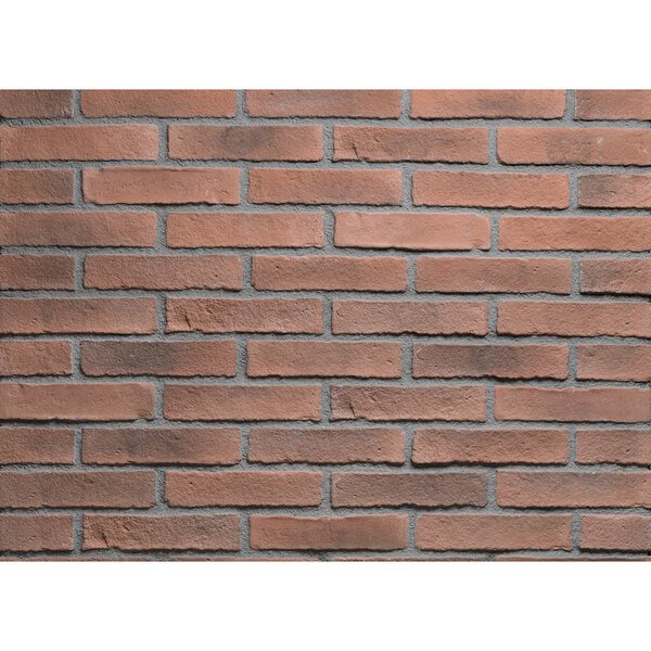 Parement brique OXFORD tamise 2.5 x 5.5 x 24 cm