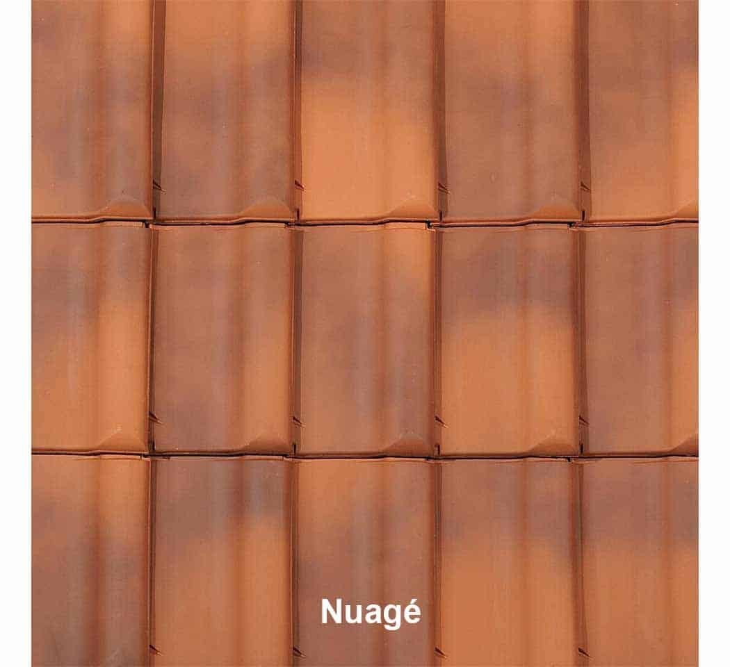 Tuile PANNE très faible pente couleur nuagé