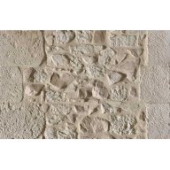 Pierre de Vianne sur treillis mix pierre de Vianne/ neominéral