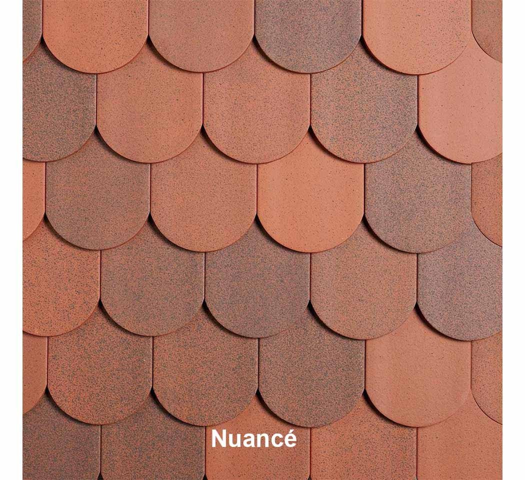 Tuile plate 18 x 38 écaille couleur nuancé