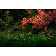 Spot Raf couleur noire genre industriel sur piquet