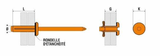 photo wed informations