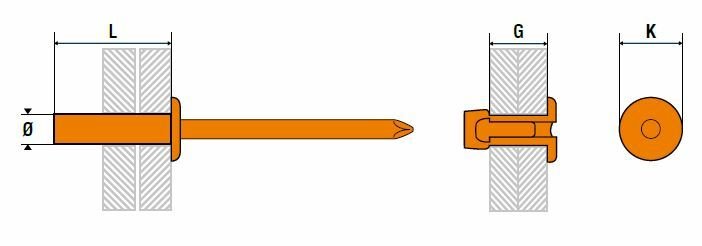 photo rivet whd informations