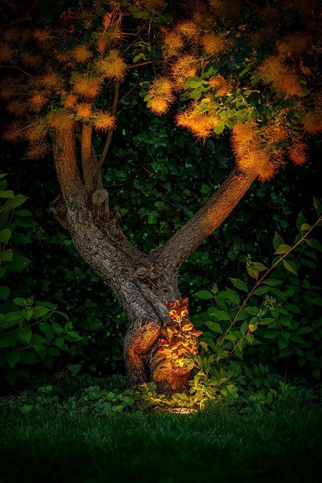 Spot Led Rubum à encastrer blanc chaud 5W 320 lumen aluminium noir