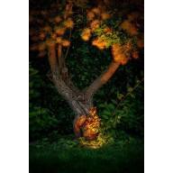 Spot Led Rubum à encastrer blanc chaud 5W 320 lumen aluminium noir