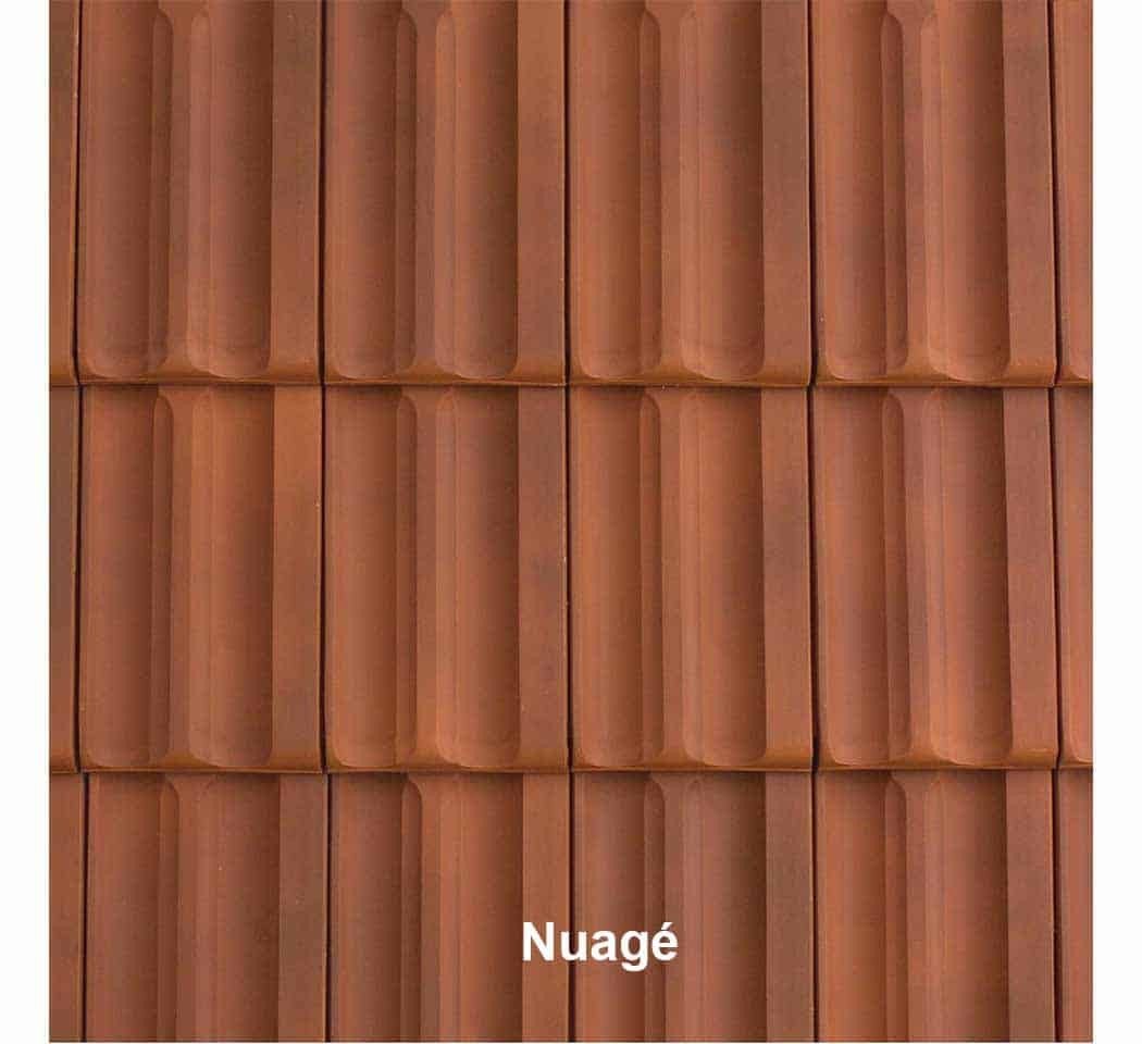 Tuile STANDARD couleur nuagé