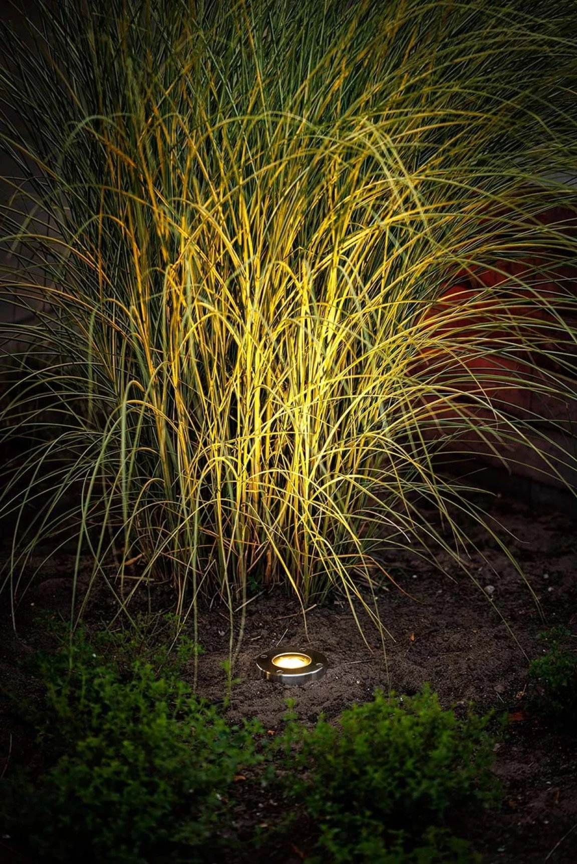 photo d'un spot luminaire terrestre en situation dans un jardin