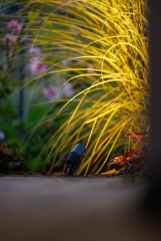 Vignette Spot Alder plastique noir 2W 120 lumens