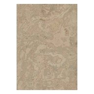 Parquet flottant liège 10.5 mm x 38 cm x 61 cm, Taranis