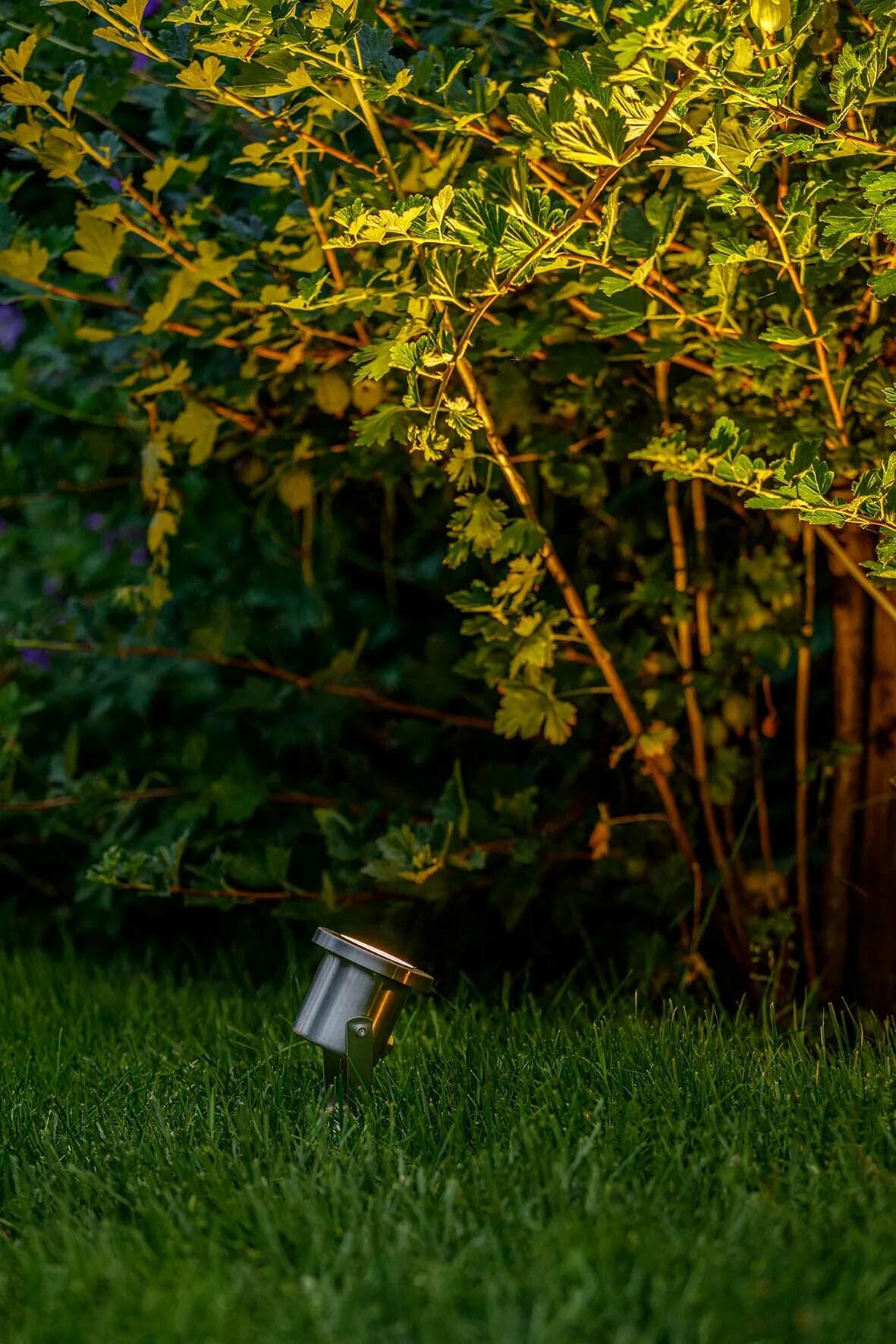 Spot extérieur Catalpa en acier inoxydable