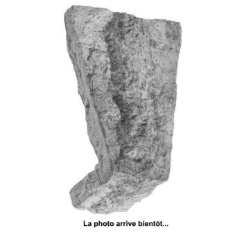 Vignette Clé (voute) PIAMONTE cendré