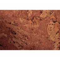Parement mural liège 60 cm x 30 cm x 3 mm, Ilets Rouge