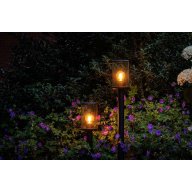 Borne lumineuse Eros Hi noire à filament