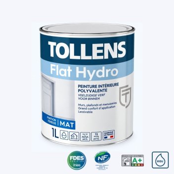 Vignette Peinture de finition, TOLLENS FLAT HYDRO mat