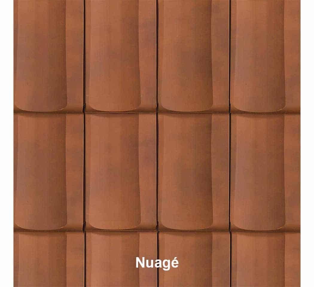 Tuile JPV colori nuagé