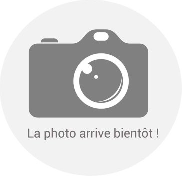 Vignette Chapeau Brique ton naturel pour pilier avec goutte d'eau