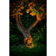 Spot Led Rubum à encastrer blanc chaud 5W 320 lumen aluminium noir