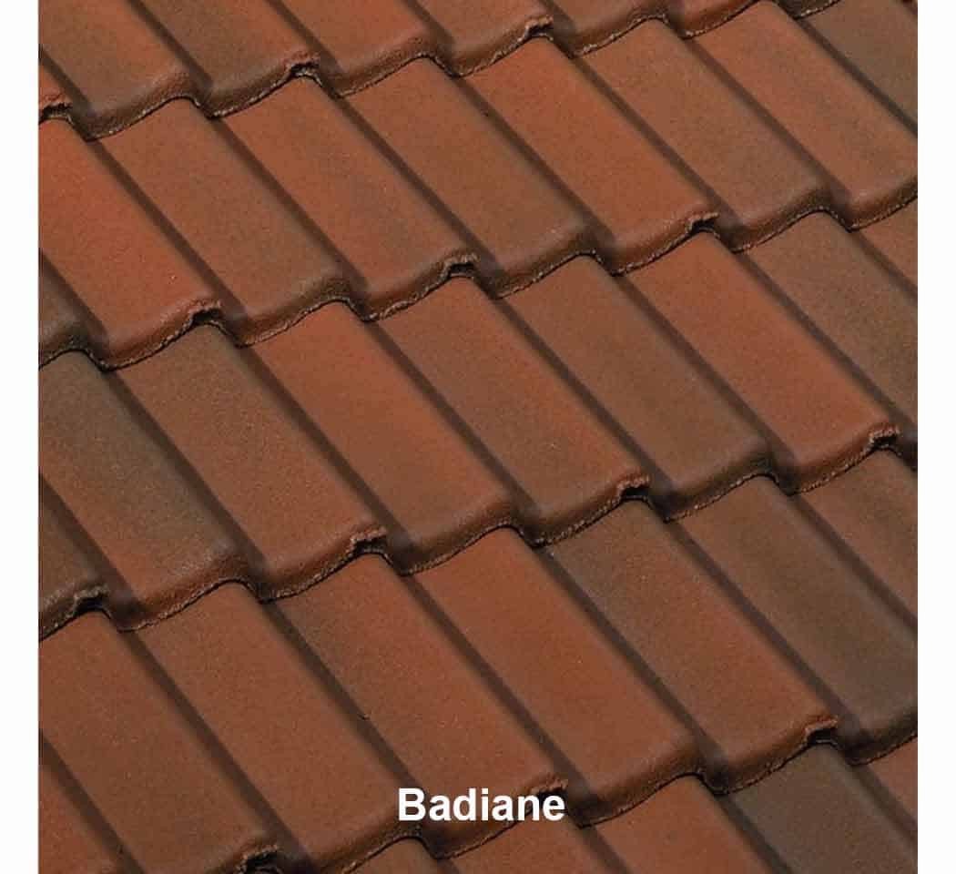 Tuile béton TRADIPANNE couleur badiane