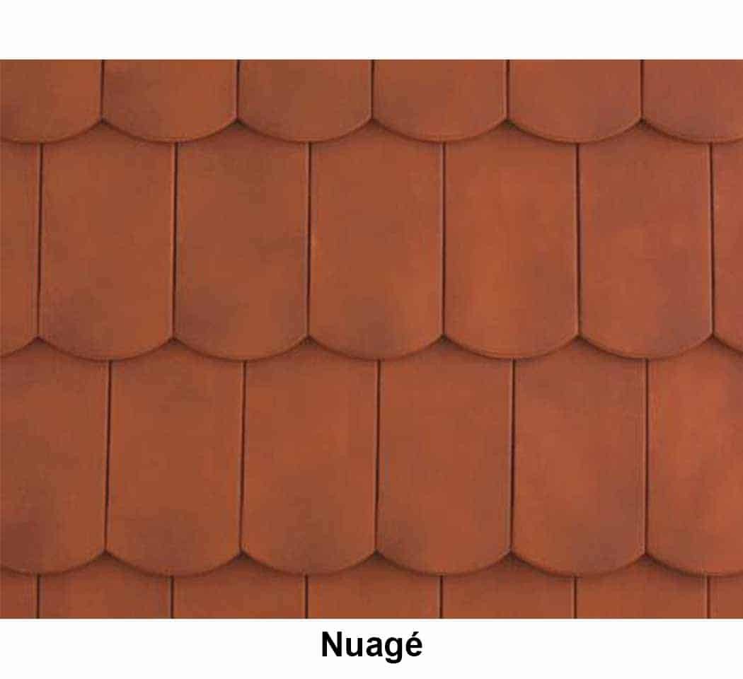 Tuile VAUBAN écaille, colori nuagé